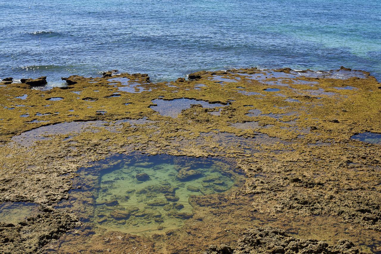 Oceanus Aparthotel Albufeira Dış mekan fotoğraf